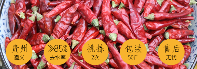 贵州满天星辣椒特点-优友供应链