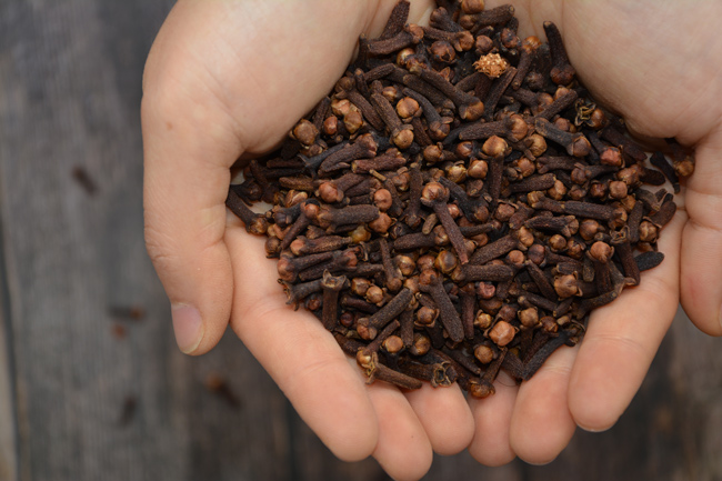 公丁香、丁香、百结 优友供应链